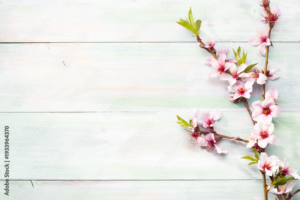 Fototapeta premium Branch with Almond blossoms on old shabby wooden table. Floral border. Top view with copy space. Flat lay.