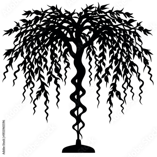 A corkscrew willow tree silhouette vector illustration.
