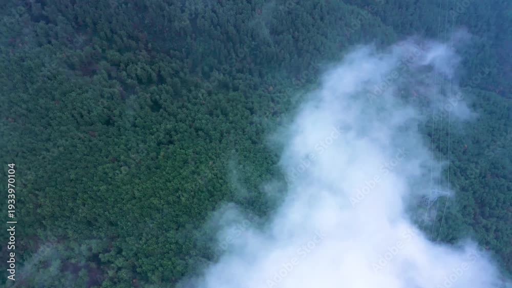 custom made wallpaper toronto digital4K Aerial View of Lush Green Jungle Depths with Misty Clouds and Natural Majesty