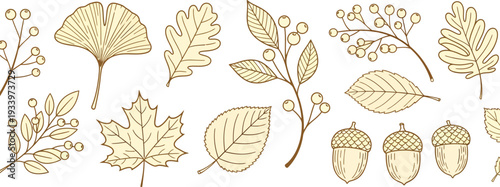Autumn Leaves and Acorns Vector Set