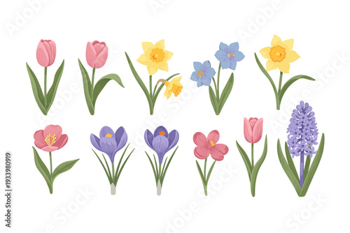 Colorful spring flowers bloom beautifully, showcasing a vibrant collection of tulips, daffodils, crocuses, and hyacinths in a delightful illustration.