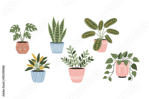 Various potted houseplants in decorative pots with green foliage showcasing a collection of popular indoor plants in a modern flat illustration style.