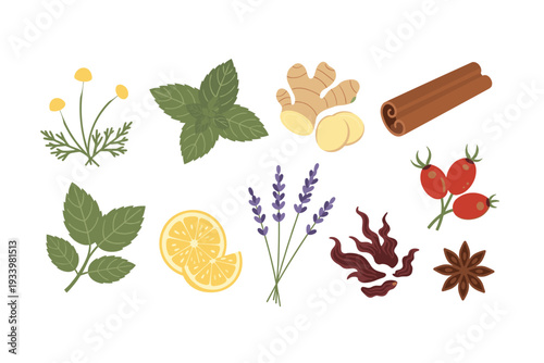 Herbs, spices, and fruits for natural remedies and wellness are beautifully arranged in a vibrant collection, perfect for illustrating health and well-being concepts.