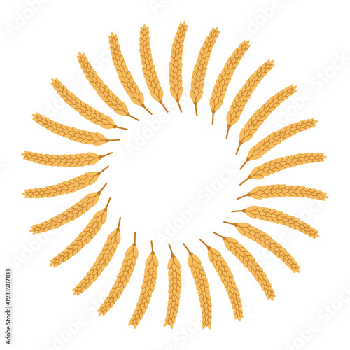 Round cereal crop frame made of wheat grain ears. Rye or barley spikelets in the flat wreath. Ring agricultural border in the shape of circle for autumn harvest and bakery design