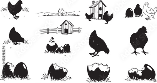 Black and white chicken farm illustration set with eggs