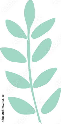 Mint green leaf branch with oval shaped leaves