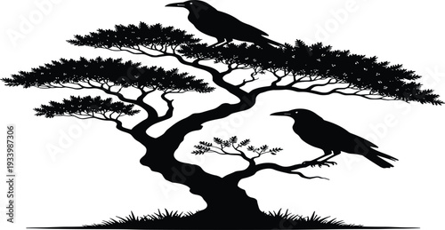 Black silhouette of a bonsai style twisted tree with two large crows perched on branches isolated on white background for zen gothic designs.