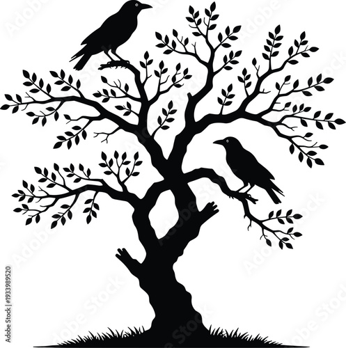 Black silhouette of a gnarled twisted tree with two crows perched on branches isolated on white background for nature mystery and gothic designs.