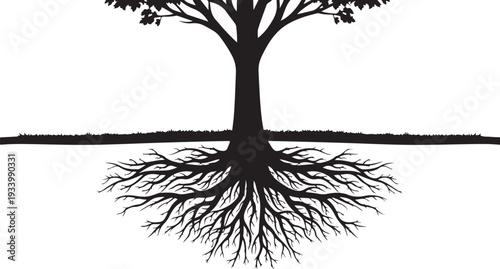 Tree Silhouette with Exposed Roots on White Background Illustration