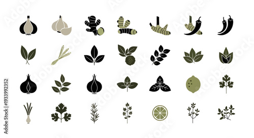 Cooking Ingredients Herbs and Spices Vector Icons Set for Culinary Design