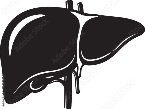 Black silhouette of a human liver with detailed organ structure