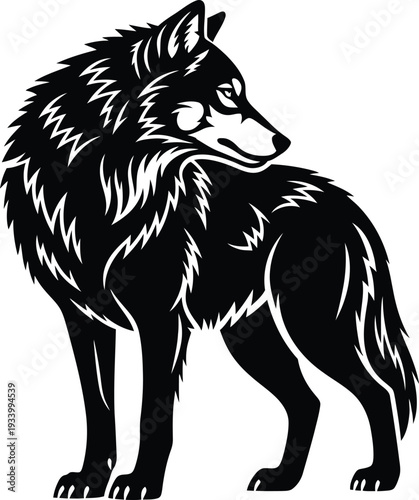 Intriguing Silhouette of the Lone Wolf: A powerful and majestic wolf is captured in an elegant silhouette, embodying both strength and solitary grace.