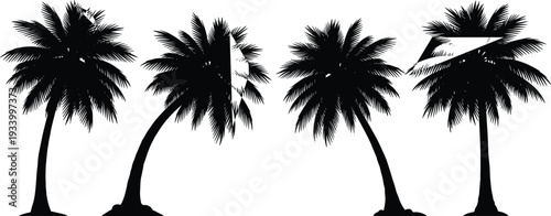 Four Black Silhouette Palm Trees With Stylized And Distorted Tops Keywords: palm tree, silhouette, black, tropical, tree, nature