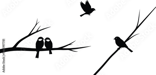 Black Silhouettes of Birds on Tree Branches and Flying perched