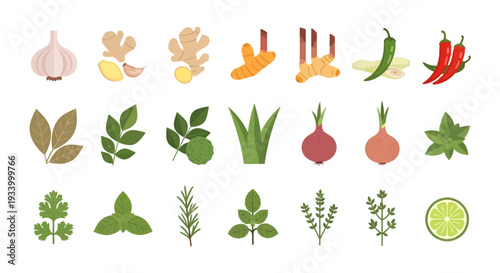 Asian Cooking Spices and Herbs Collection, Fresh Kitchen Ingredients Vector Set