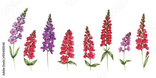 collection of flowers