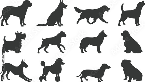 Collection of twelve dog breed silhouettes arranged in grid layout showcasing diverse canine shapes, profiles, ear types, tail positions, and fur textures in vector illustration