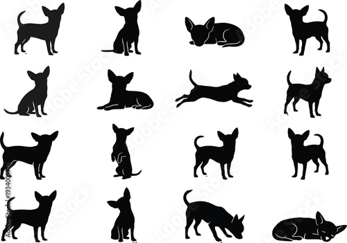 Collection of Chihuahua dog silhouettes in multiple poses including standing, sitting, lying, running, and jumping, perfect for pet artwork, vector graphics, and design projects