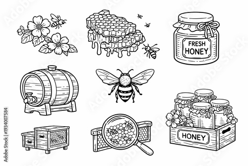 Hand drawn beekeeping collection with bee, honeycomb, flowers, jars labeled fresh honey, barrel, and dipper. Rustic line art for farm themes, organic branding, labels, and packaging.