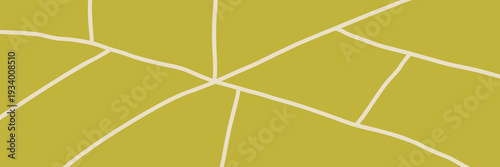 Farm agriculture rice and field top vineyard with plantation view pattern.