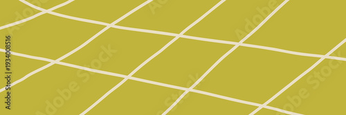 Rice farm vineyard with pattern view for top field agriculture.