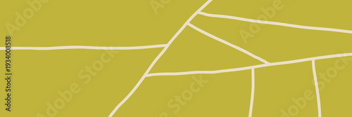 Top view agriculture with vineyard plantation field and farm rice.