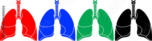 Human lung anatomy icons set in different colors for medical education and respiratory health concept