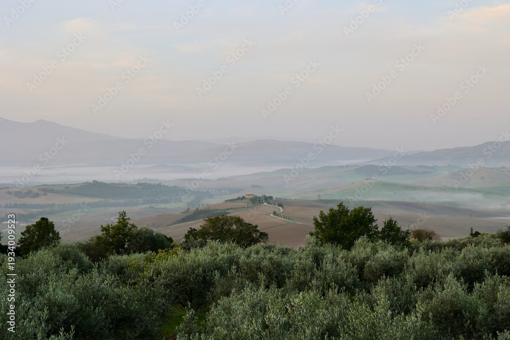 Fototapeta premium Panoramic view of the Tuscan countryside near Pienza in the Province of Siena, Italy, during a calm autumn morning.