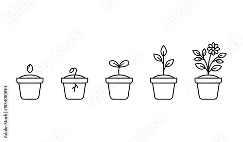 Stages of Plant Development Black and White Linear Vector Illustration Potted Growth Sequence