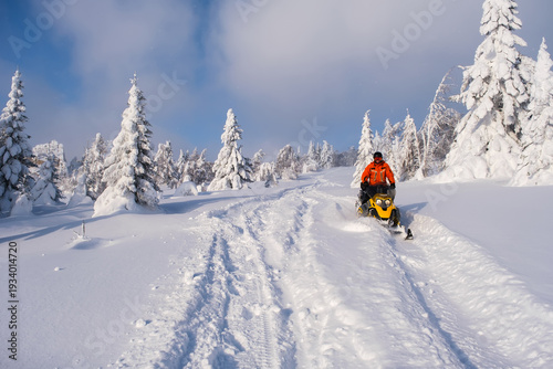 Tableau sur toile Athlete on a snowmobile moving in the winter forest in the mountains of the Sout