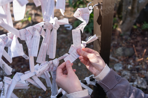 願いを込めておみくじを結ぶ	