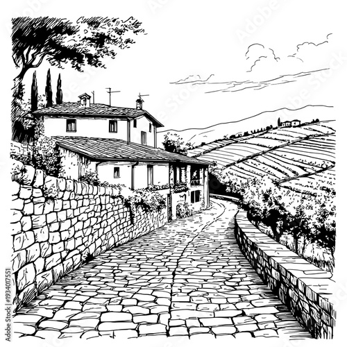 The cobbled streets of Italy. Stone villa, cypress trees and hills. Vector illustration. The sky with clouds and stone houses with tiled roofs