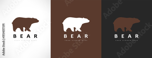 Bear logo vector. Animal design llustration.