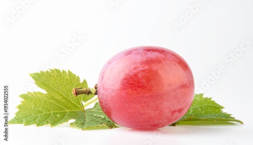 red radish isolated on white