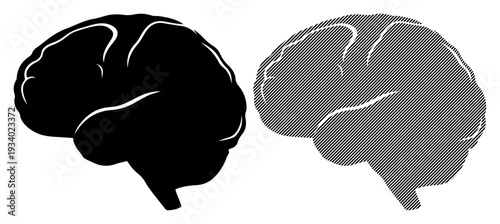 Two stylized brain silhouettes, one black and one gray, symbolizing thought and cognition.