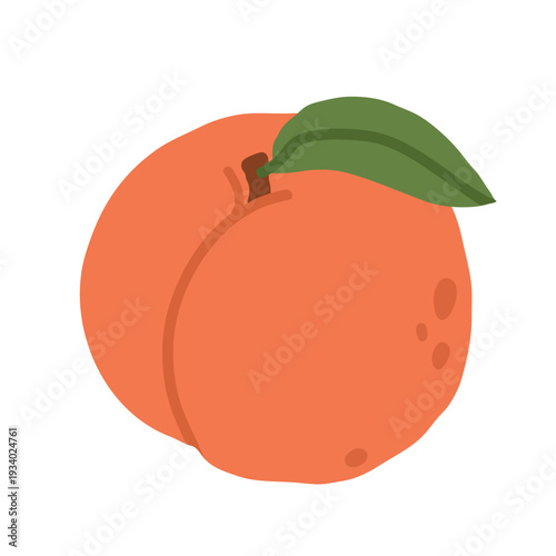 olive, branch, leaves, mediterranean, plant, tree, leaf, vector, greek, healthy, ingredient, isolated, greece, italian, green, oil, oliva, black, tuscany, background, summer, food, nature, ripe, illus