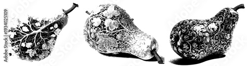 Botanical Beauty: Nature's Artistry in Black and White