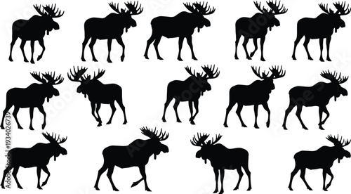Moose Silhouettes Collection Isolated on White Background, Wild Elk Bull Animal Side View Poses Black Vector Illustration Set for Wildlife Design
