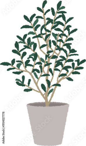 オリーブのイラスト