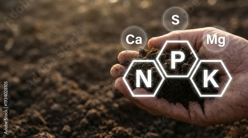Nurturing Earth's Bounty: A person tenderly holds a handful of fertile soil, with graphic indicators displaying essential nutrients for optimal plant growth.