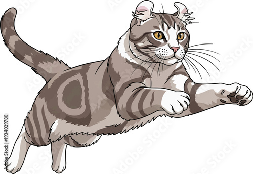 American Curl cat jumping leaping athletic action illustration