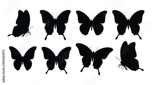 A group of black butterfly silhouettes on a white background isolated on white background, Vector