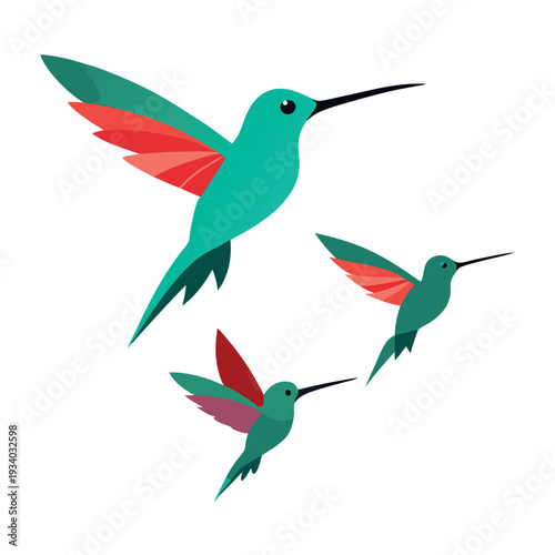 Hummingbird hover tiny suspended hummingbirds 