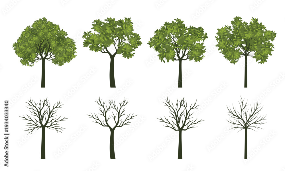 Fototapeta premium Set of green Avocado Trees with Leaves. Outline Illustration.