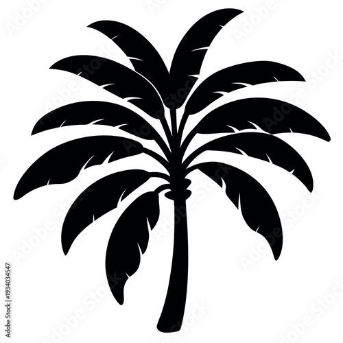 Banana tree silhouette