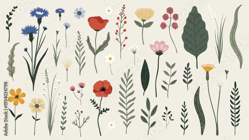 Set of meadow flower, abstract hand drawn flowers. Floral cute doodle elements, wildflower, leaves and herb, plants, foliage.