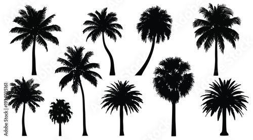 Collection of various palm tree silhouettes isolated on white background for design and decoration purposes easily