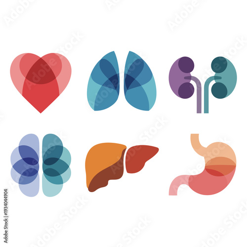 Minimalist abstract human organs set with brain heart lungs liver kidneys stomach