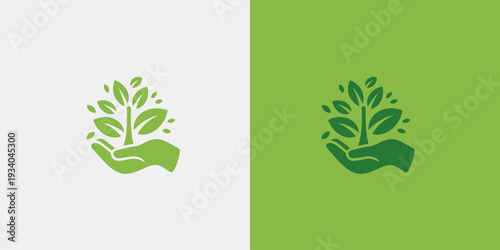 A hand holding a green plant on a split background of white and green leaves growth
