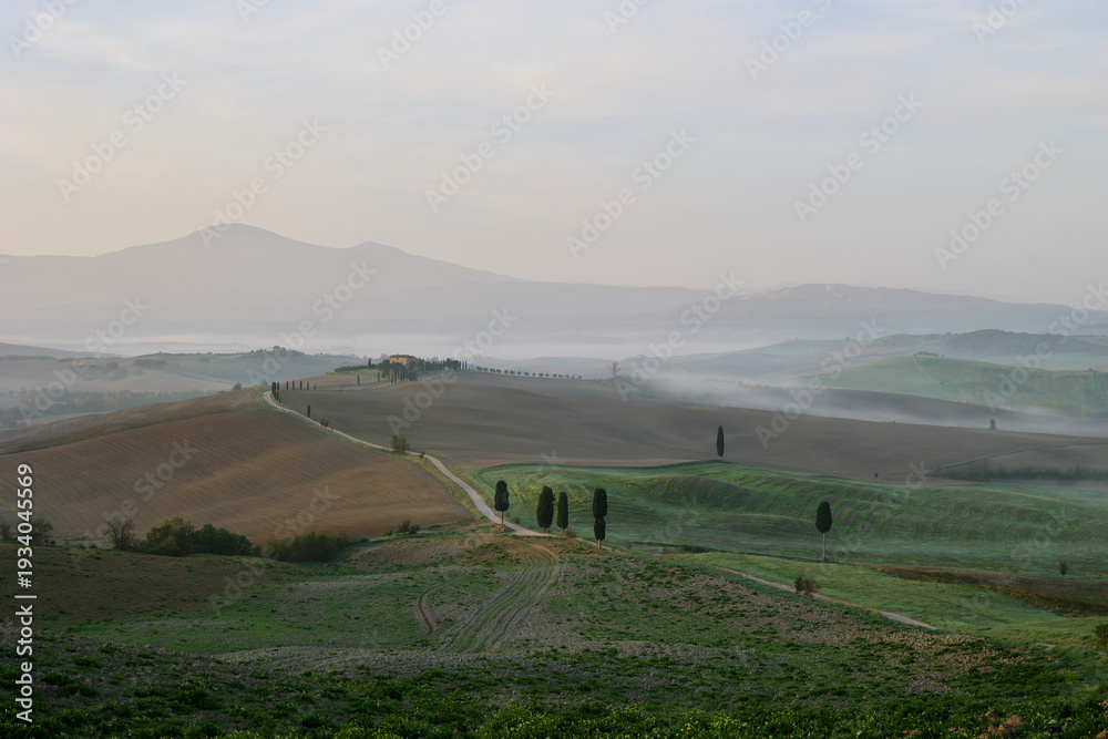 Fototapeta premium Autumn Morning on the Gladiator Road near Pienza, Val d’Orcia, Tuscany